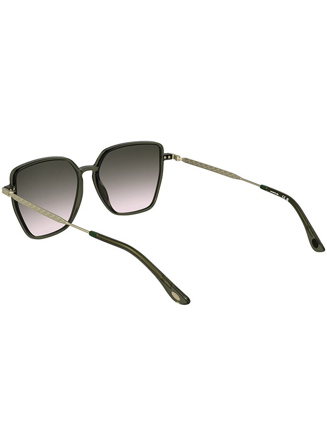 LACOSTE نظارات شمسية لاكوست كاملة الإطار L6062S 5615 (275) شفاف كاكي - Image 2