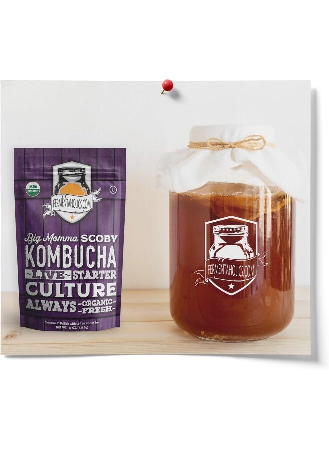 Fermentaholics Big Momma Kombucha SCOBY & Starter Tea - Image 2