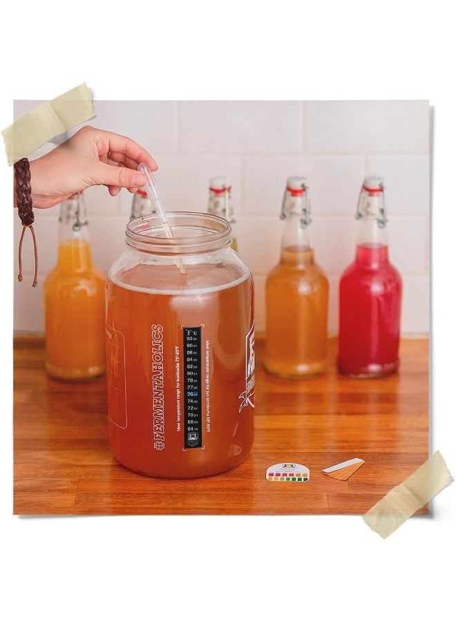 Fermentaholics Big Momma Kombucha SCOBY & Starter Tea - Image 4