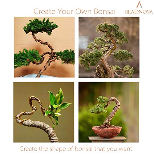 BEADNOVA Bonsai Tree Wire 98 Feet Copper Aluminum Bonsai Tree Training Wire for Indoor and Outdoor Plant (Copper, 1mm, 30m) - Image 5