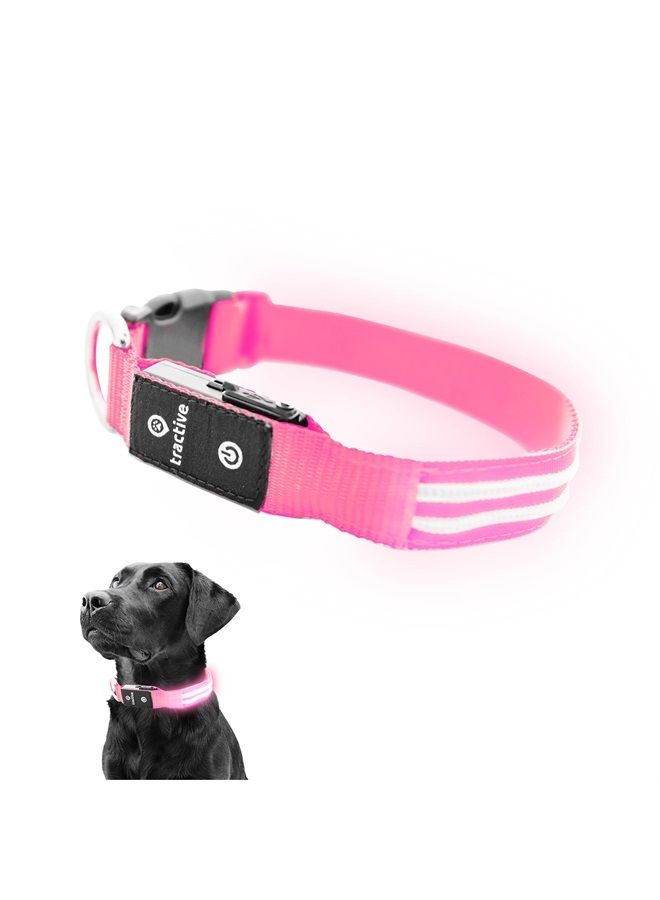 Tractive LED Light Up Dog Collar USB Rechargeable Waterproof (Pink) - Image 1