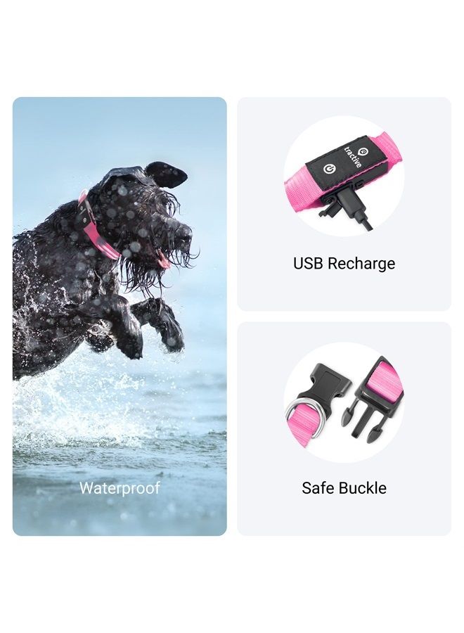 Tractive LED Light Up Dog Collar USB Rechargeable Waterproof (Pink) - Image 3
