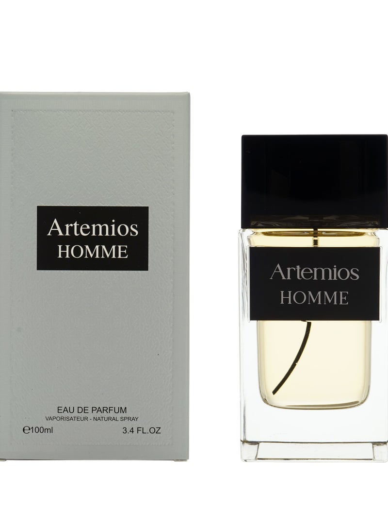 ARTEMIOS HOMME 100ML EDP - Image 1