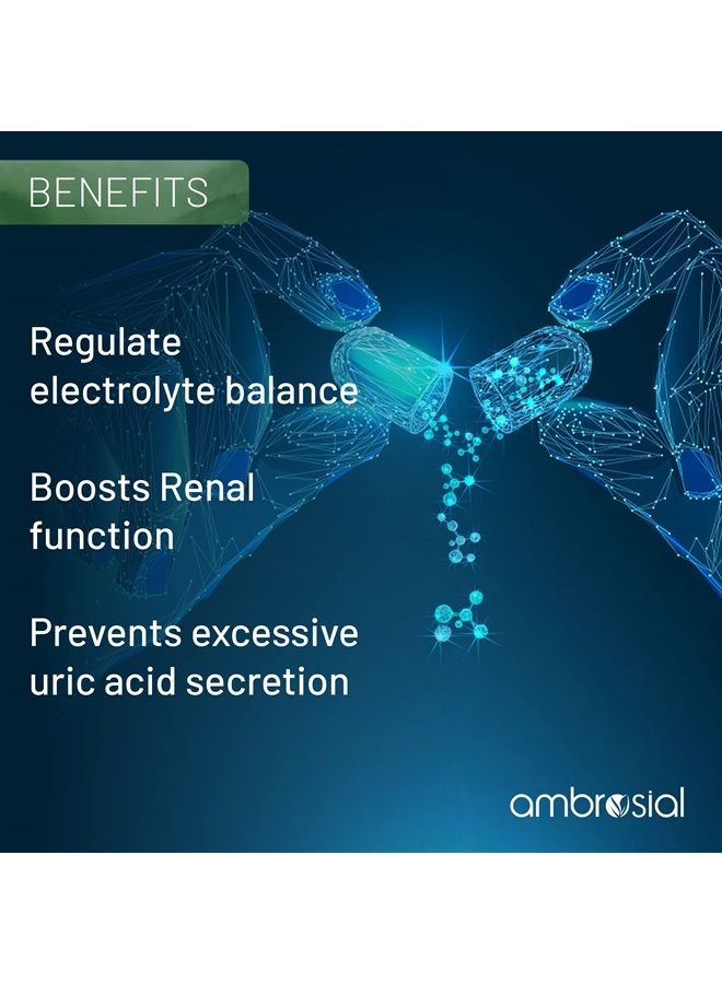 ambrosial يود أمبروسيال 5000 ميكروغرام مع 7500 ميكروغرام يوديد البوتاسيوم | أقراص يود عالية القوة | مصدر طبيعي لليود من أقراص يوديد البوتاسيوم (عبوة من 1-60 قرص) - Image 2