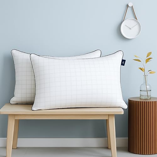 bien LIVING Extra Soft Microfiber Filled Pristine Pillow, Luxurious 300 Tc 100% Cotton Fabric Treated with Sanitized Finish, Sleeping Pillow for Back Sleepers, 17 X 27 Inches, White (Pack of 2) - Image 1