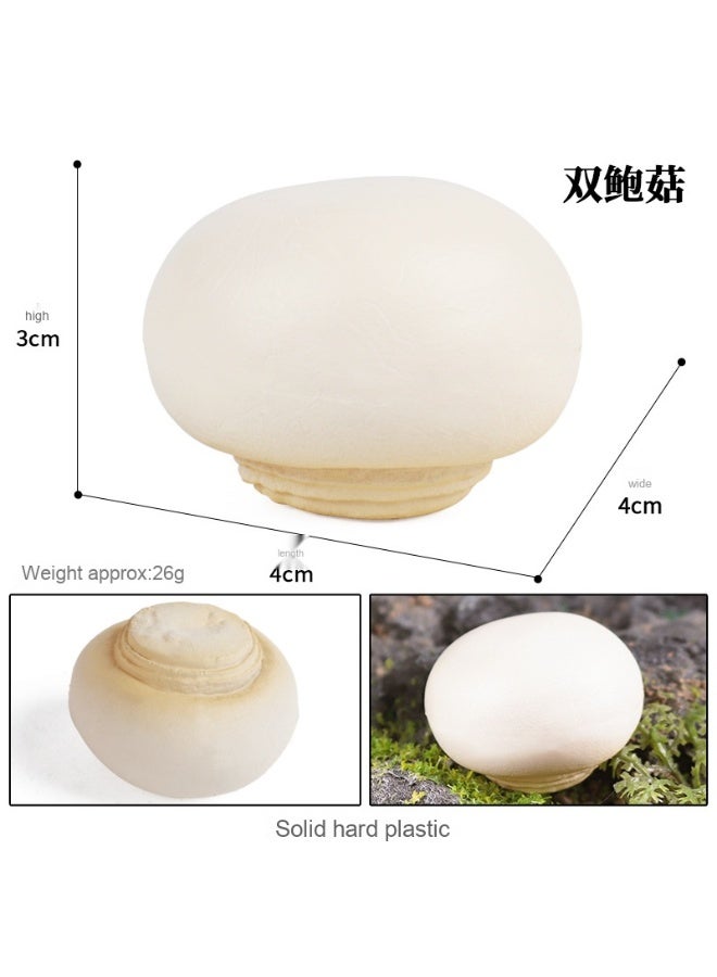 NIBEMINENT Fake Mushroom Model - Essential Early Education Tool and Scene Photography Prop