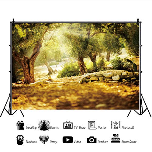 Leyiyi 10x7ft Natural Scenery Backdrop Olive Trees Sunshine Wonderland Dreamy Haze Blurred Background Stone Natural Forest Landscape Video Photo Studio Prop - Image 2