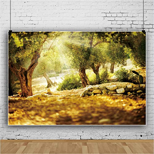 Leyiyi 10x7ft Natural Scenery Backdrop Olive Trees Sunshine Wonderland Dreamy Haze Blurred Background Stone Natural Forest Landscape Video Photo Studio Prop - Image 3