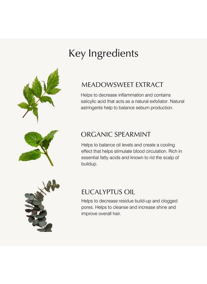 Scalp Stimulating Shampoo With Spearmint & Meadowseet 8 Oz