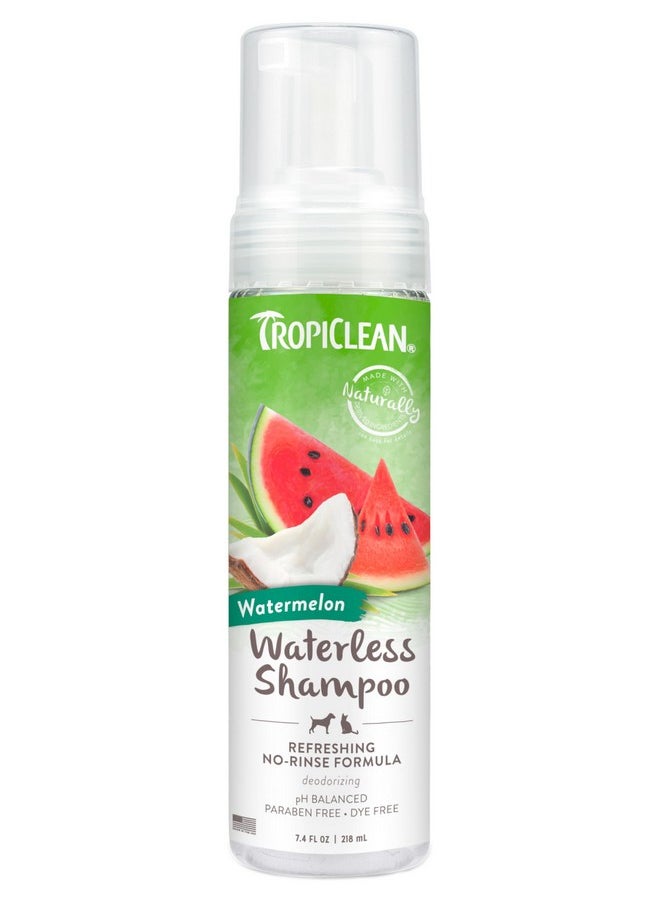 TropiClean - TropiClean Watermelon Waterless Shampoo | Dry Shampoo for Cats & Dogs | Cat & Dog Bath Supplies 7.4 oz | Made in The USA - Image 1