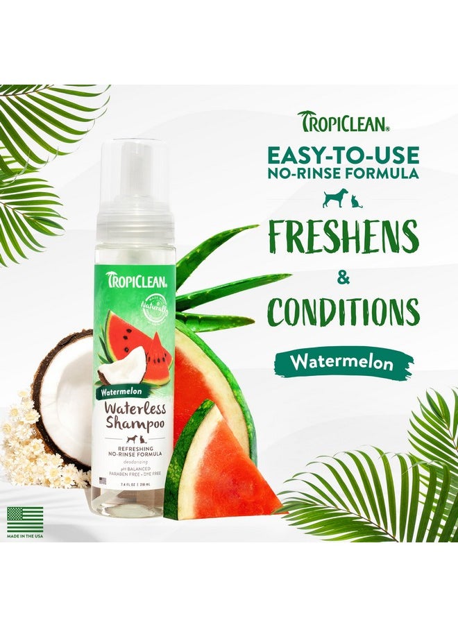TropiClean - TropiClean Watermelon Waterless Shampoo | Dry Shampoo for Cats & Dogs | Cat & Dog Bath Supplies 7.4 oz | Made in The USA - Image 1
