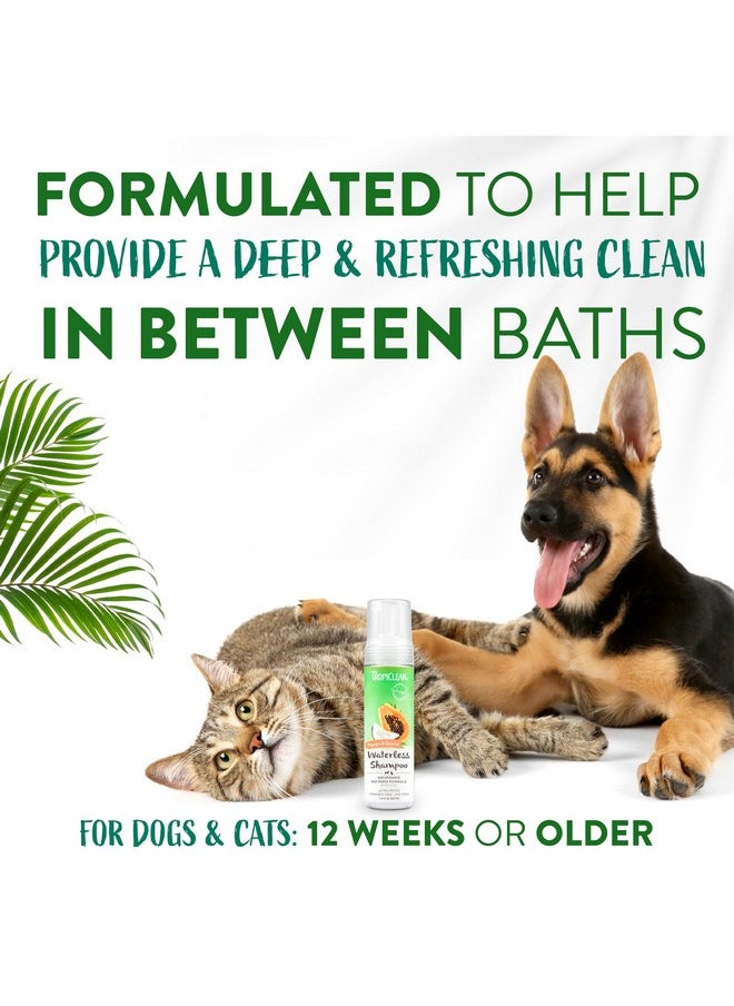TropiClean - TropiClean Watermelon Waterless Shampoo | Dry Shampoo for Cats & Dogs | Cat & Dog Bath Supplies 7.4 oz | Made in The USA - Image 1