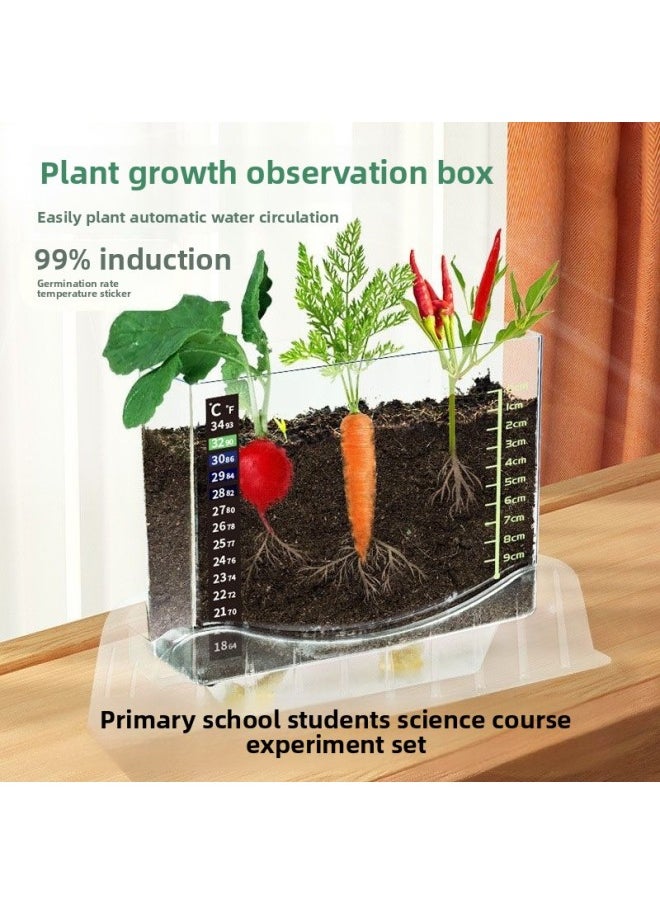 Generic - Elementary School Science Class DIY Experiment Set Kidsren's Plant Planting Observation Box Vegetable And Fruit Rhizome Growth-Specification:A+b Package Seeds (e-commerce Box) - Image 1