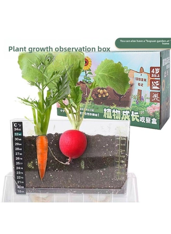 Generic - Elementary School Science Class DIY Experiment Set Kidsren's Plant Planting Observation Box Vegetable And Fruit Rhizome Growth-Specification:A+b Package Seeds (e-commerce Box) - Image 1