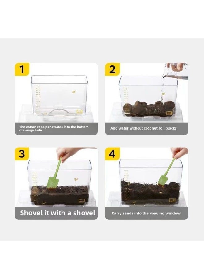Generic - Elementary School Science Class DIY Experiment Set Kidsren's Plant Planting Observation Box Vegetable And Fruit Rhizome Growth-Specification:A+b Package Seeds (e-commerce Box) - Image 1