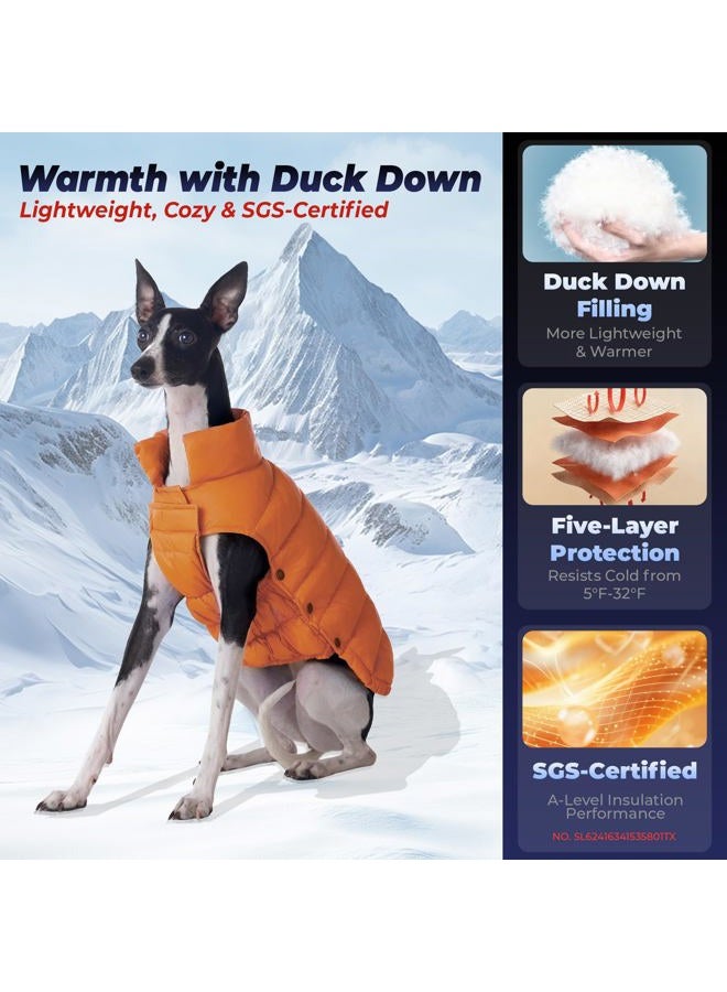 SPACE LION Dog Puffer Coat, Down Winter Jacket, SGS Warm Certified, Durable Outdoor Coat for Cold and Windy Conditions, Adjustable Fit for Small & Medium Dogs(Orange,12/S) - Image 2