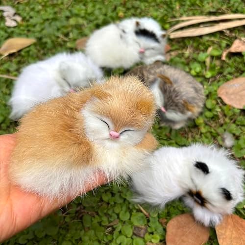 Basuo-9Q Pack of 5 Realistic Furry Baby Cats Figurines Simulation Kittens Home Office Car Decorative Statue Synthetic Little Pet Stuffed House Animal Kitties Replica Photo Props Collectible Gift - Image 3