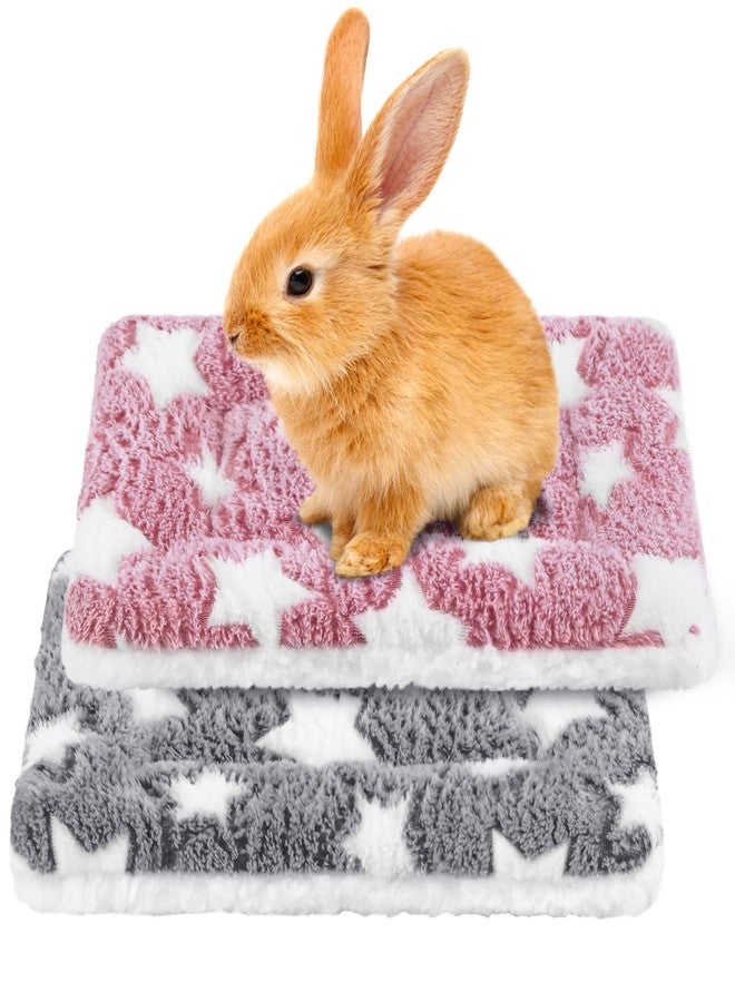 Eilyliafe 2 Pack Rabbit Bunny Bed Soft Guinea Pig Bed Mat Washable Guinea Pig Bunny Pad Reversible Small Animal Bed Cage Liner for Hamster Rat Hedgehog Chinchilla Ferret (13×10 Inch) - Image 1