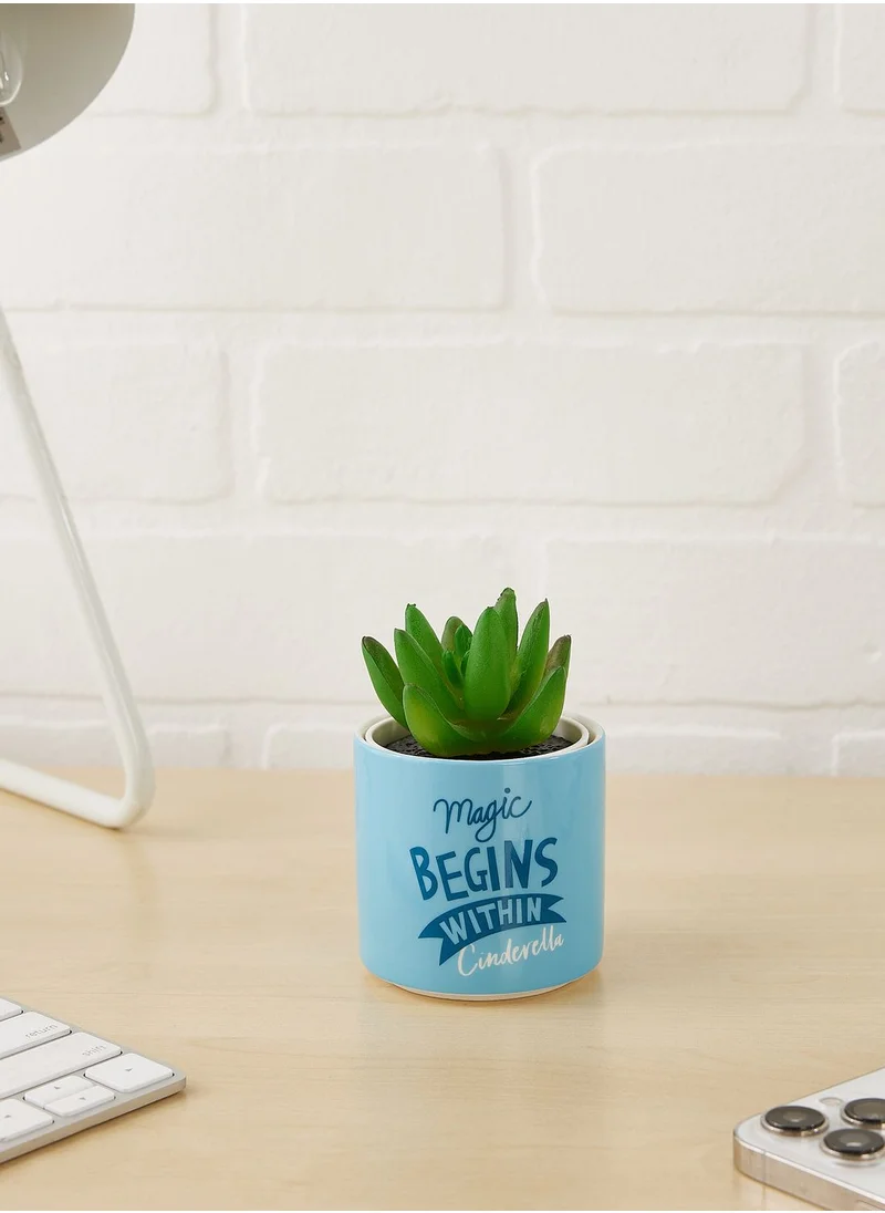 Half Moon Bay Cinderella Plant Pot Faux
