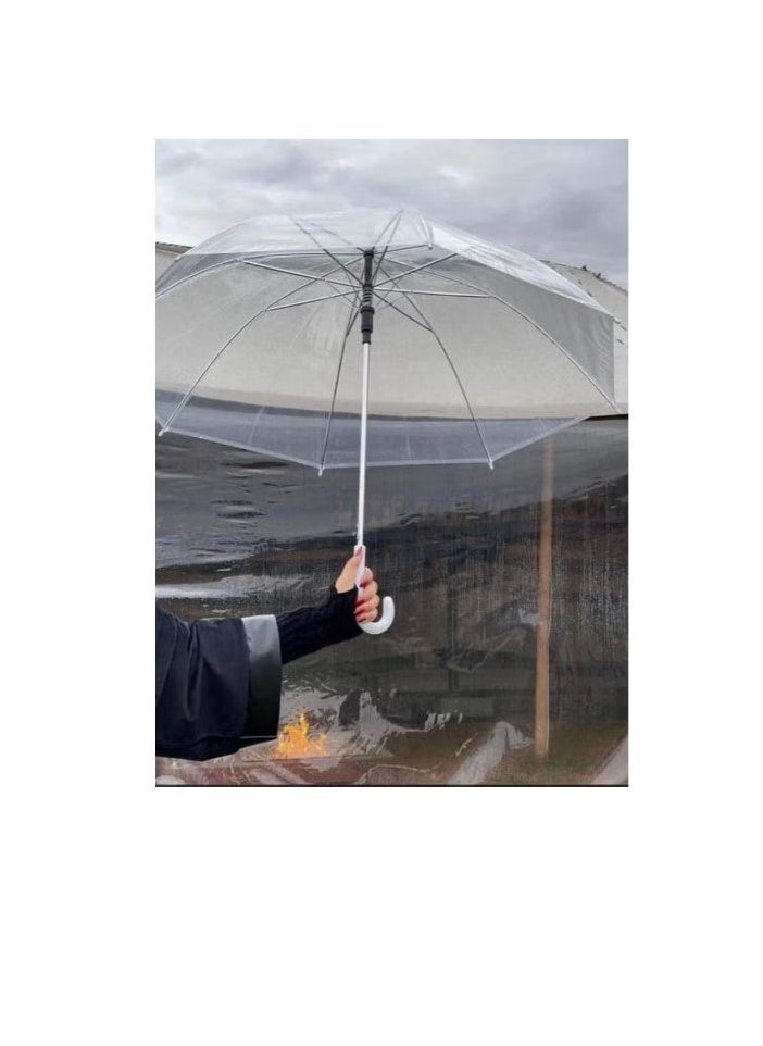 Generic - A transparent umbrella to enjoy the spring and rain weather - Image 1