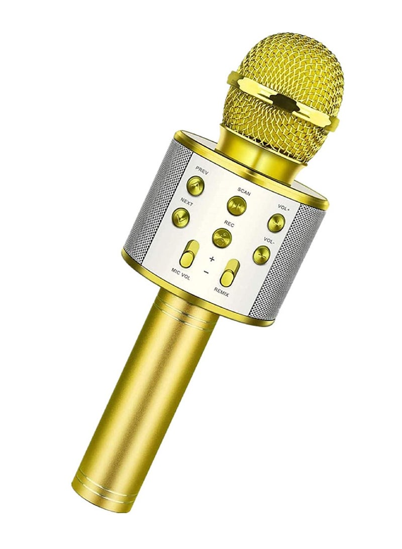 PAMEER Wireless Bluetooth Karaoke Microphone for Kids 5 in 1 Portable Handheld Karaoke Mic Speaker Player Recorder with Adjustable Remix FM Radio for Kids Girls Boys Birthday - Image 5