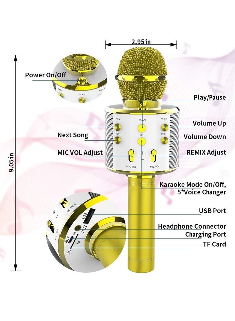 PAMEER Wireless Bluetooth Karaoke Microphone for Kids 5 in 1 Portable Handheld Karaoke Mic Speaker Player Recorder with Adjustable Remix FM Radio for Kids Girls Boys Birthday - Image 2
