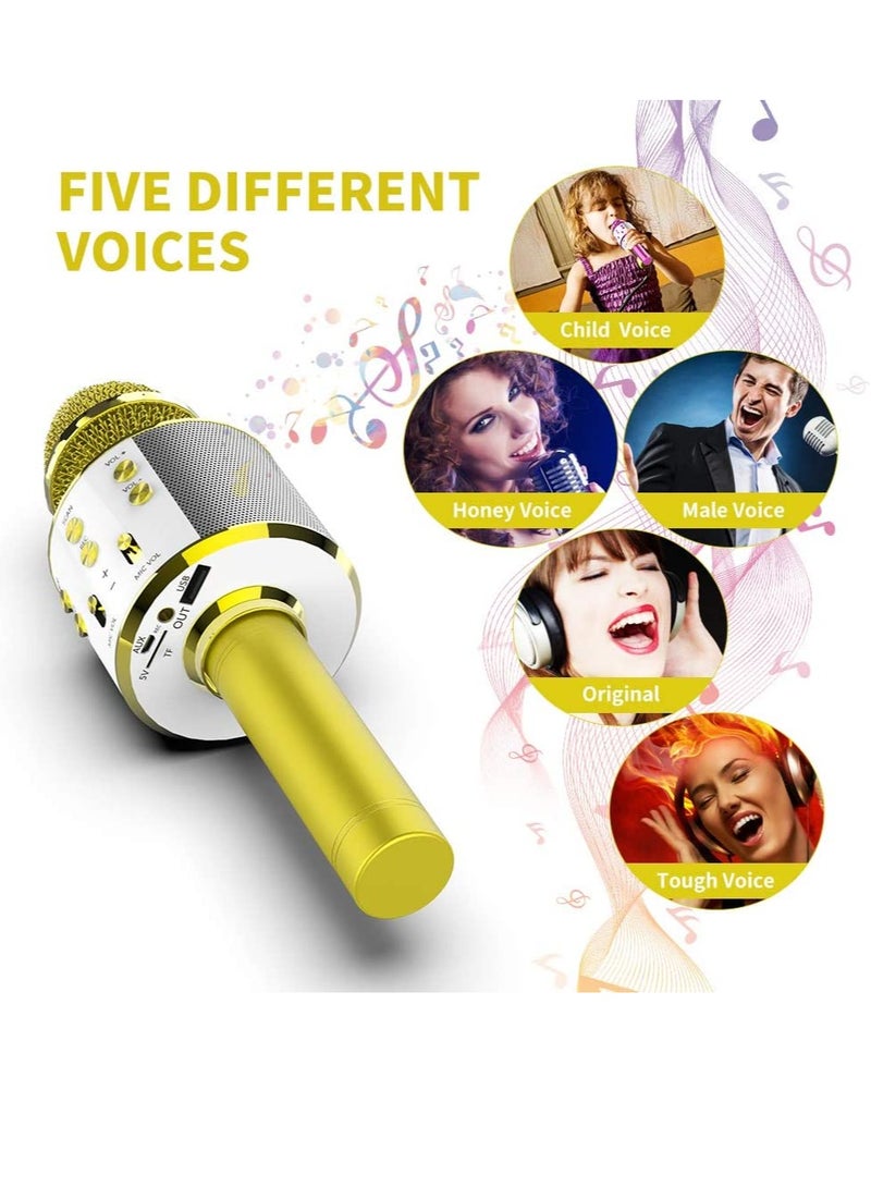 PAMEER Wireless Bluetooth Karaoke Microphone for Kids 5 in 1 Portable Handheld Karaoke Mic Speaker Player Recorder with Adjustable Remix FM Radio for Kids Girls Boys Birthday - Image 4