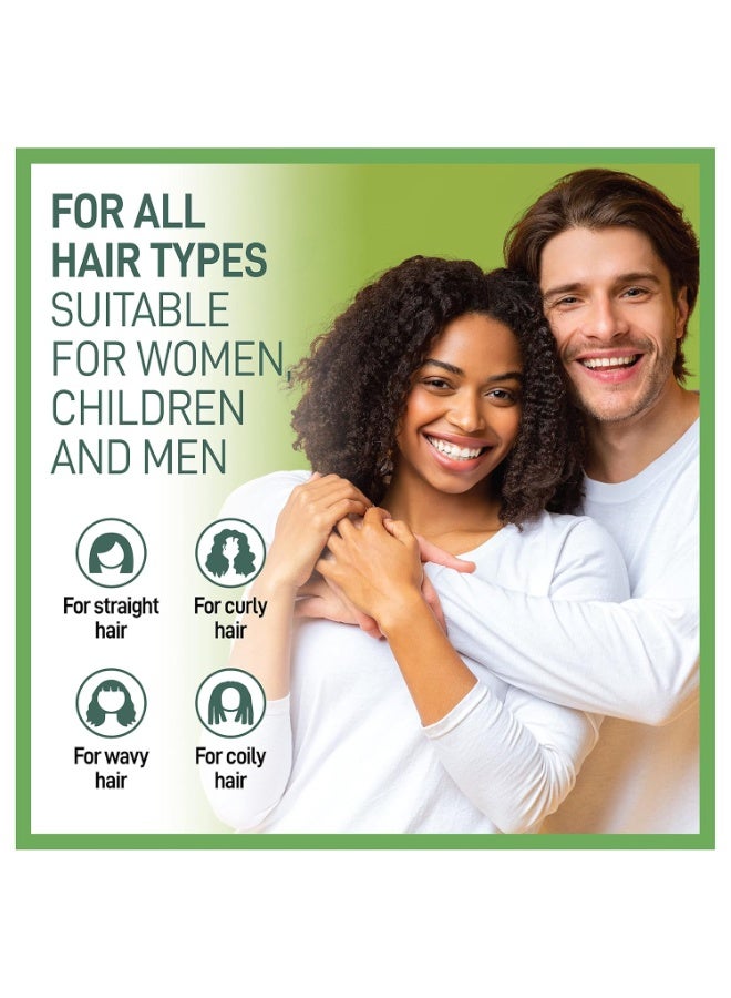 موراز شامبو بالأعشاب الطبيعية لمعالجة الشعر الجاف - Image 3