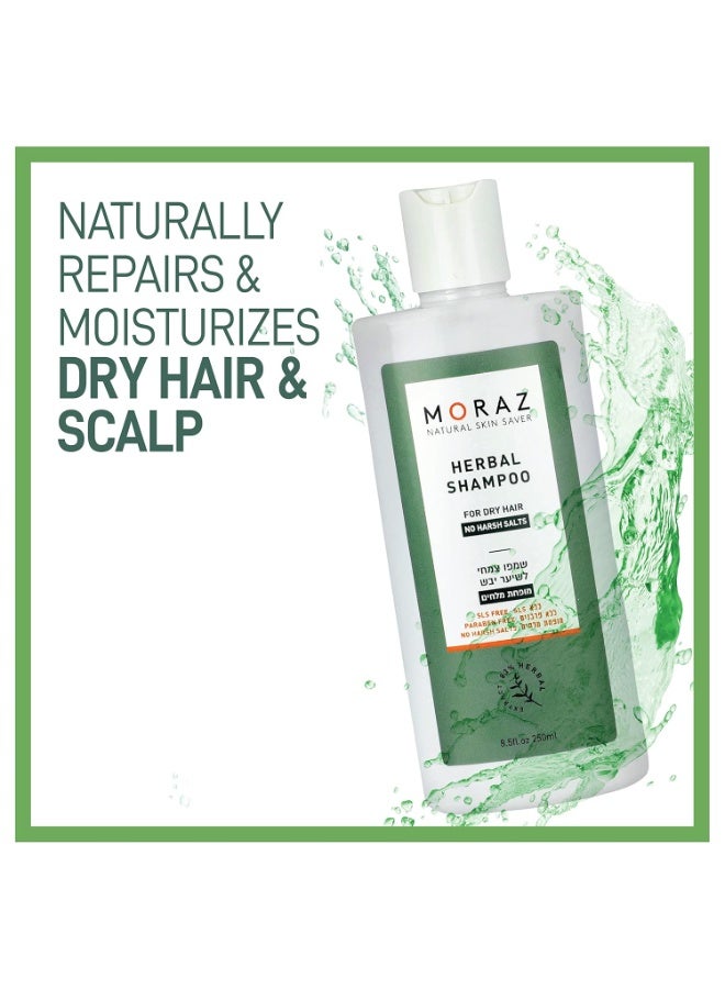 موراز شامبو بالأعشاب الطبيعية لمعالجة الشعر الجاف - Image 2