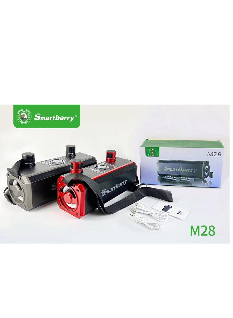 Smart Berry Smart berry M28 Portable Karaoke Machine Wireless Bluetooth Speaker With two Microphones