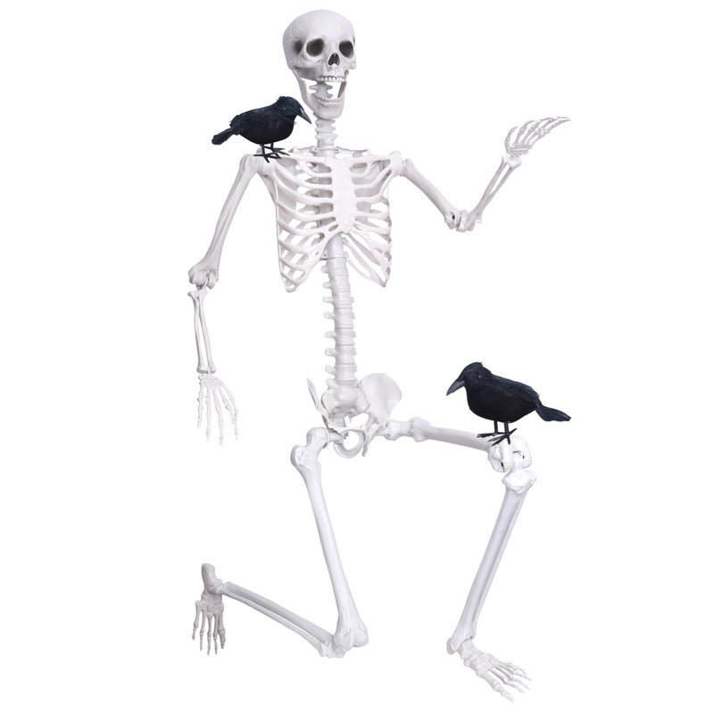 Wocst 6Ft Life Size Skeleton Posable Skeleton with Movable Joints Halloween Full Body Plastic Human Bones with 2PCS Black Crows for Halloween Indoor Outdoor Decor