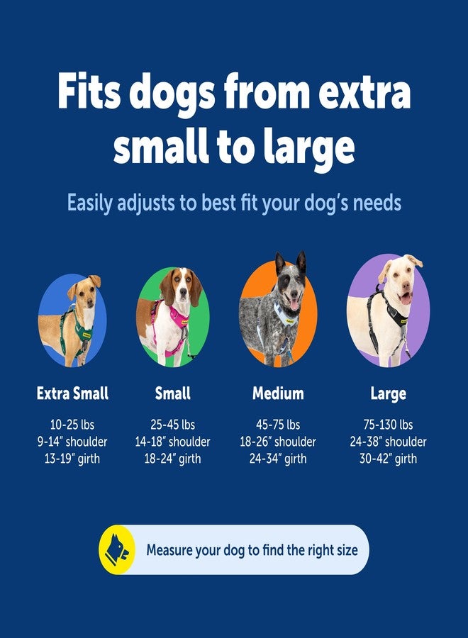 بيت سيف سرج PetSafe Easy Walk Comfort للكلاب، مبطن بالكامل لمنع الشد - مشي أفضل من أول استخدام - 5 نقاط تعديل، صغير، أزرق - Image 5
