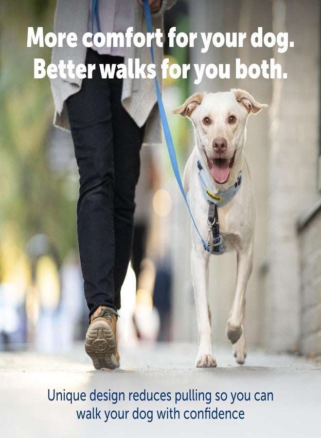 بيت سيف سرج PetSafe Easy Walk Comfort للكلاب، مبطن بالكامل لمنع الشد - مشي أفضل من أول استخدام - 5 نقاط تعديل، صغير، أزرق - Image 2