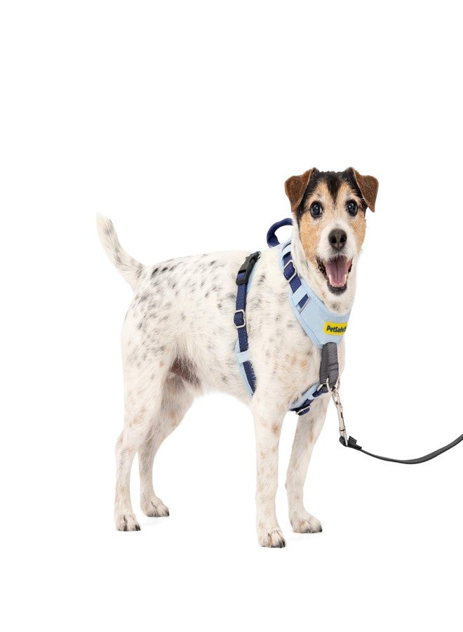 بيت سيف سرج PetSafe Easy Walk Comfort للكلاب، مبطن بالكامل لمنع الشد - مشي أفضل من أول استخدام - 5 نقاط تعديل، صغير، أزرق - Image 1