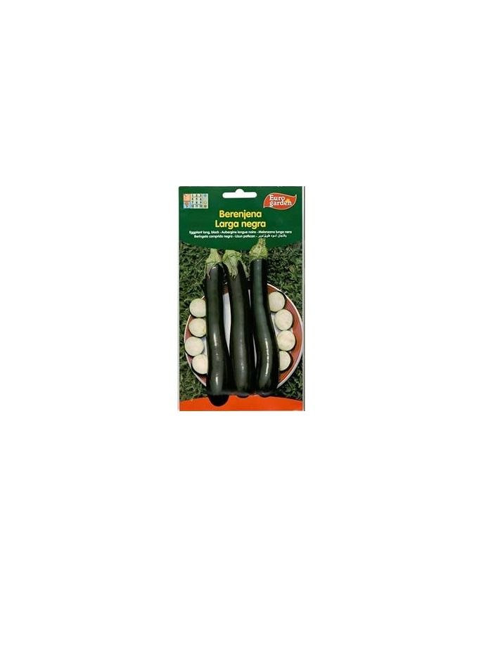 Euro Euro Garden Eggplant Long - Image 1