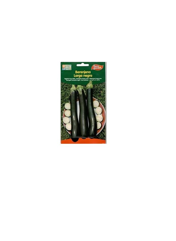 Euro Euro Garden Eggplant Long - Image 2