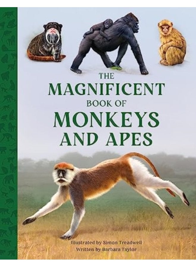 The Magnificent Book of Monkeys and Apes 11 - Hardback