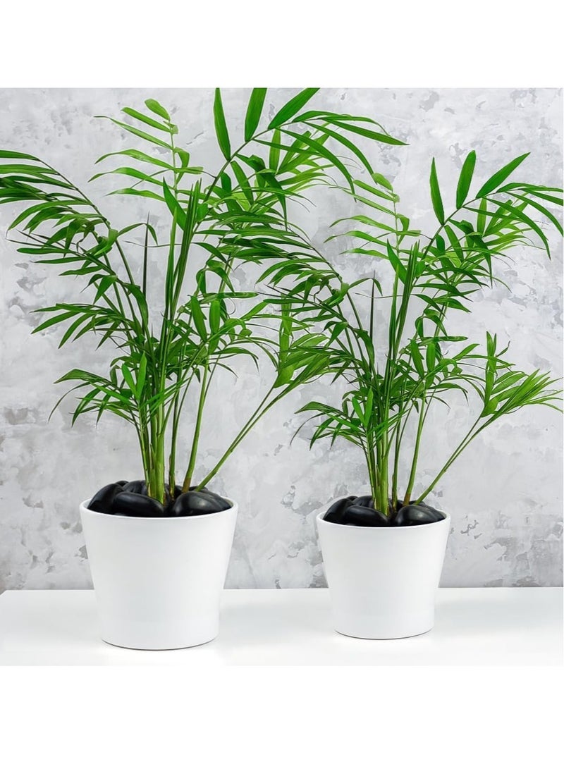 vsell24 5-8cm Extra Large Black Natural Decorative River Pebbles Black Polished Decorative Pebbles for Garden Landscaping, Home Decor, Outdoor Paving River Rocks, Rocks for Painting - Image 2