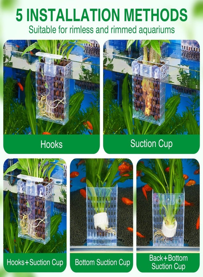 Borlech 2026 Latest Upgraded Aquarium Plant Holder Adjustable Height with Extendable Hook and Suction Cup for Fish Tank Aquaponic Plant Cultivation and Aquascape Accessories Decorations (2 Pack) Transparent - Image 4