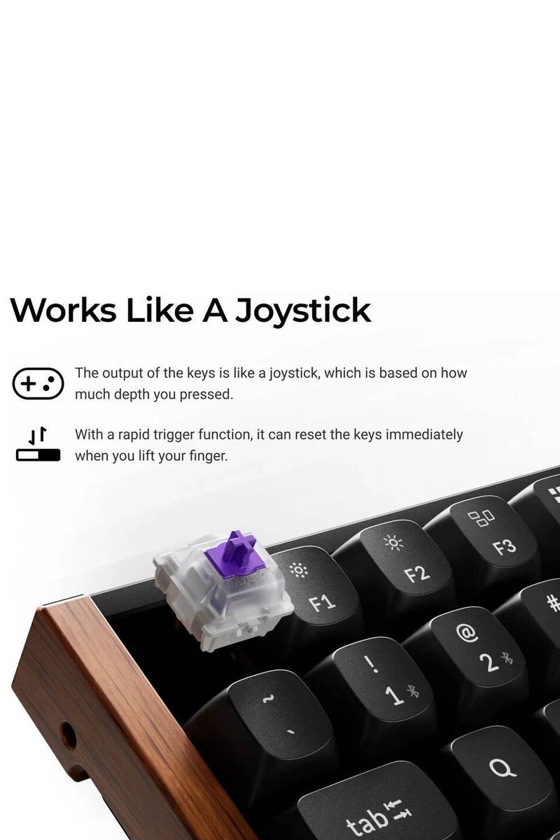 Keychron Keychron K2 HE Wireless Mechanical Keyboard, 75% Layout, Gateron Magnetic Hall Effect Switches, Hot-Swappable, Adjustable Actuation (0.2–3.8mm), Rapid Trigger, RGB Backlit, Tri-Mode (2.4GHz, Bluetooth 5.2, USB-C), English-Arabic Keycaps, Aluminum Frame, 4000mAh Battery, Black | K2H-F1-AR  - Image 3