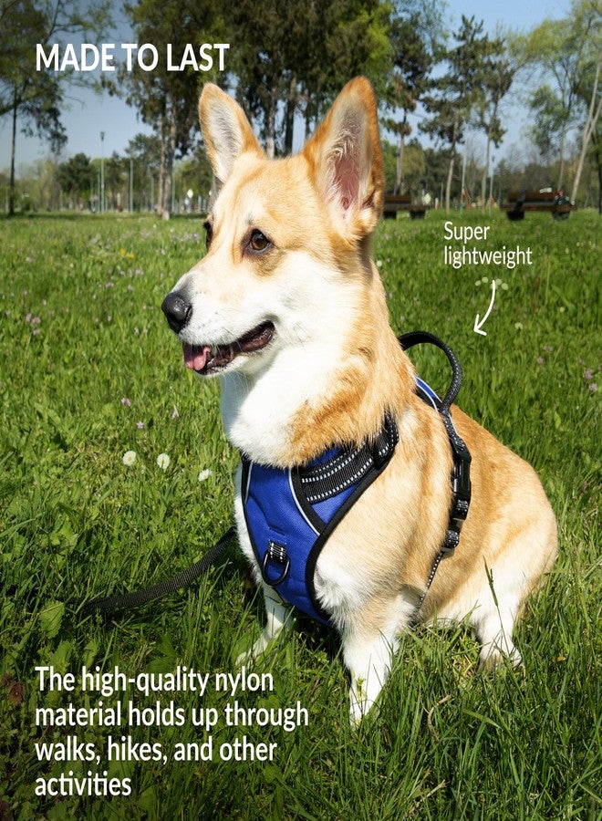 CollarDirect No Pull Reflective Dog Harness with Handle and Front Clip, Adjustible Soft Padded Vest for Small to Large Dogs Training and Walk (Size M, Dark Blue) - Image 5