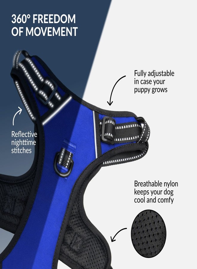 CollarDirect No Pull Reflective Dog Harness with Handle and Front Clip, Adjustible Soft Padded Vest for Small to Large Dogs Training and Walk (Size M, Dark Blue) - Image 3
