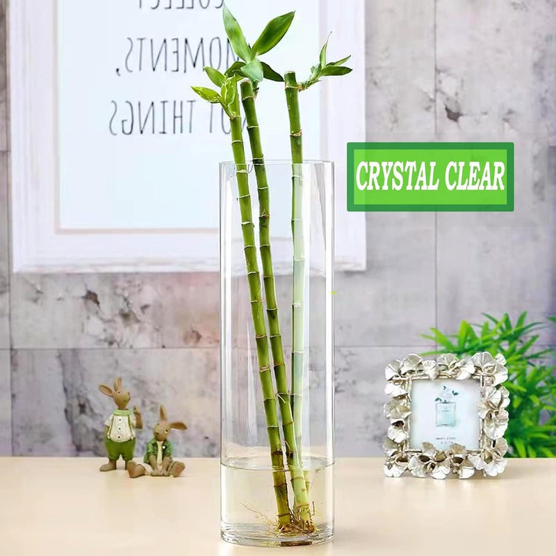 MAMATOONS 2pcs Large Glass Flower Vase 30cm X 12cm Tall Glass Flower Vase Decorative Centrepiece For Home Office Living Room Bedroom Cylinder Shape Clear Glass Decoration Piece - Image 4