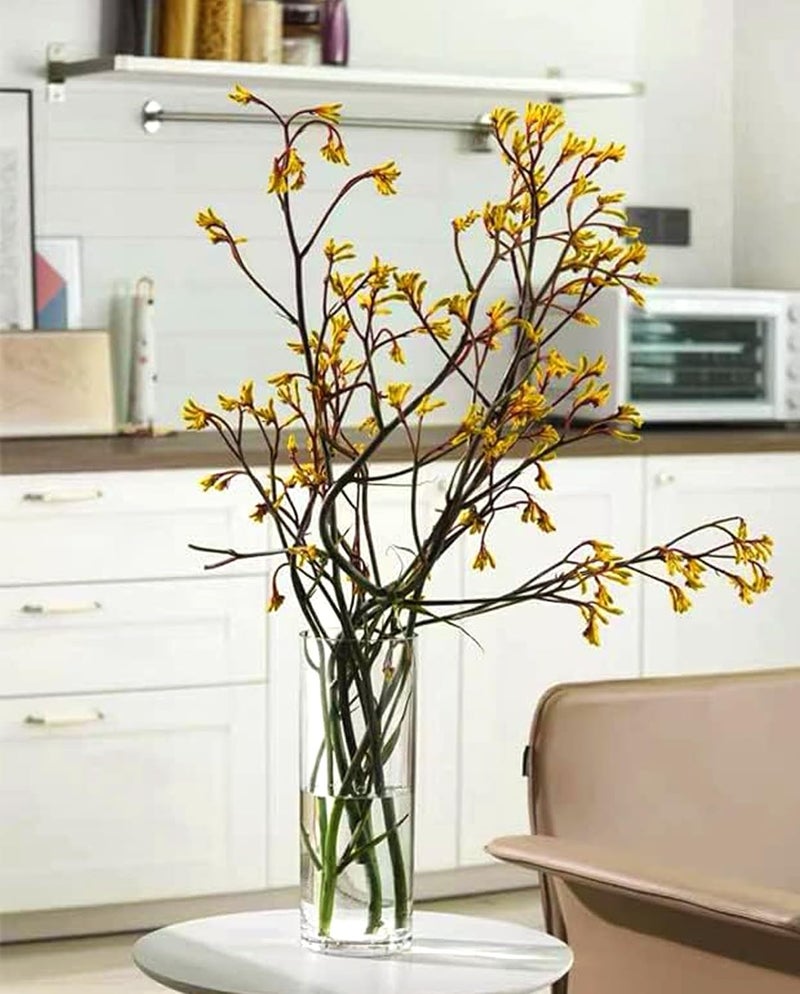 MAMATOONS 2pcs Large Glass Flower Vase 30cm X 12cm Tall Glass Flower Vase Decorative Centrepiece For Home Office Living Room Bedroom Cylinder Shape Clear Glass Decoration Piece - Image 3