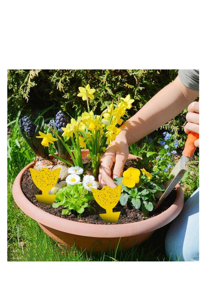 SYOSI Sticky Traps, Fly Trap for Indoor/Outdoor Natural Pest Control, Fruit and Yellow Fungus Gnat Traps for Kitchen, House Plants, Whitefly, Mosquito Bits, Fly Traps Save Your Plants - Image 2