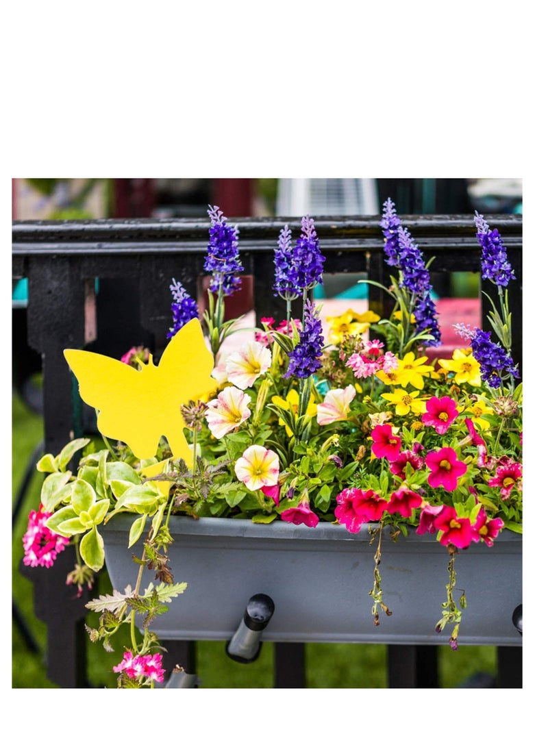 SYOSI Sticky Traps, Fly Trap for Indoor/Outdoor Natural Pest Control, Fruit and Yellow Fungus Gnat Traps for Kitchen, House Plants, Whitefly, Mosquito Bits, Fly Traps Save Your Plants - Image 5