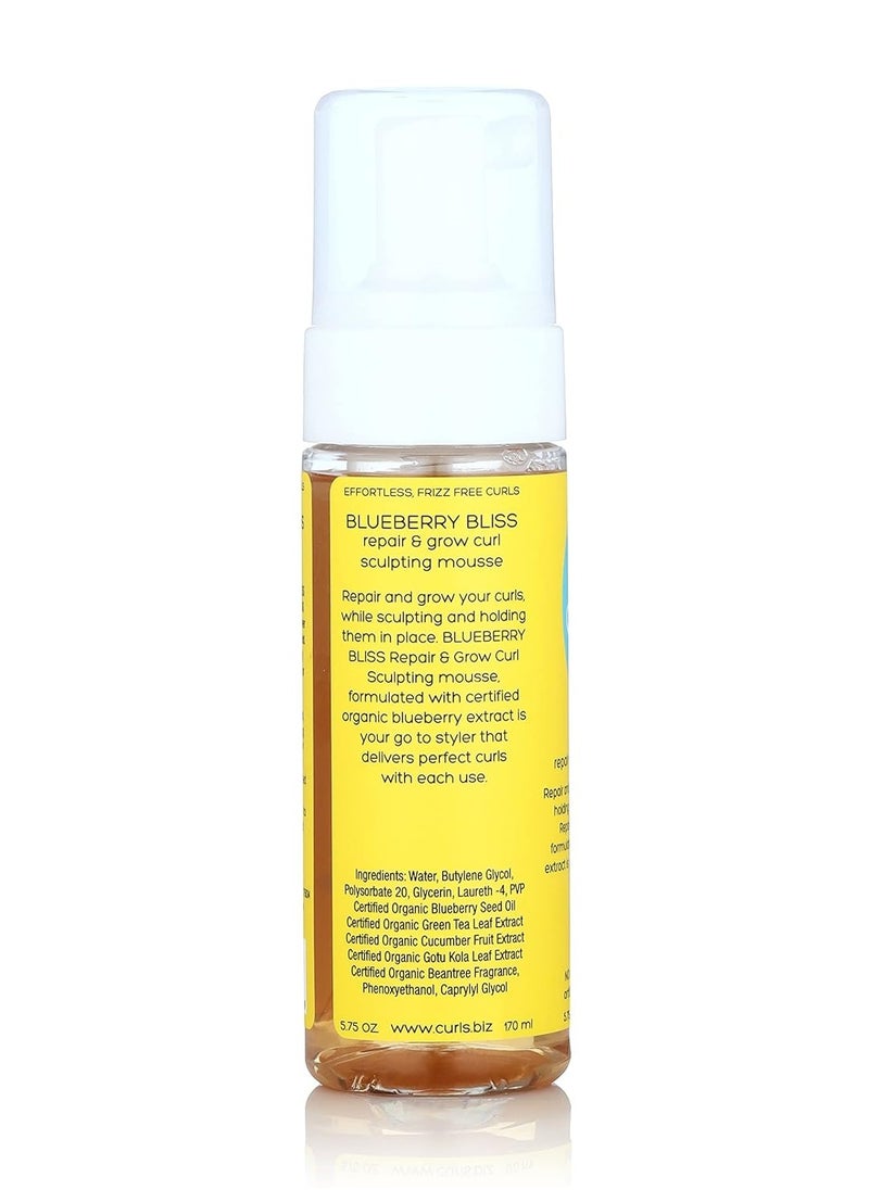 Curls Curls Blueberry Bliss Sculpting Mousse - 5.75 oz, For Textured, Coily, and Curly Hair, Styling Hair Mousse Great for Twist Outs and Wash & Go's  - Image 2