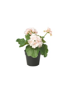 Generic Artificial potted plant, in/outdoor/Geranium light pink, 9 cm 