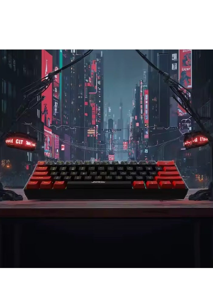 JeDEL KL69 60% Mechanical Gaming Keyboard Rainbow - Blue Switches - Detchable USB C Cable - English and Arabic Keys  - Image 3