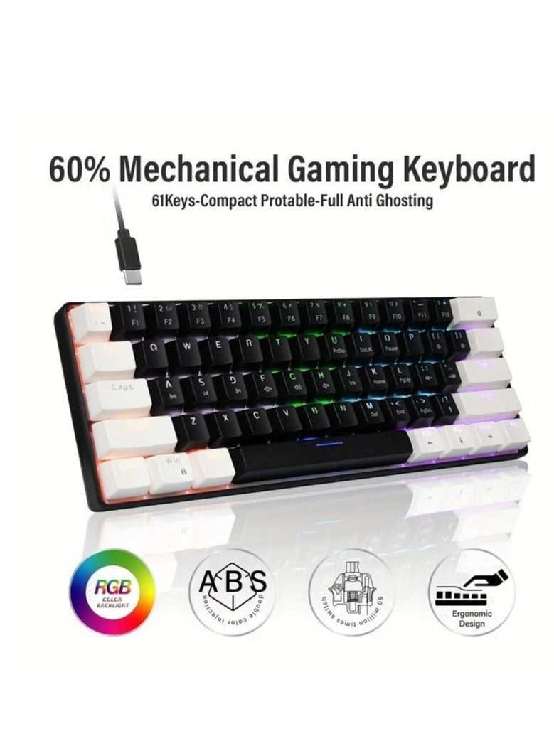 JeDEL KL69 60% Mechanical Gaming Keyboard Rainbow - Blue Switches - Detchable USB C Cable - English and Arabic Keys - Image 4